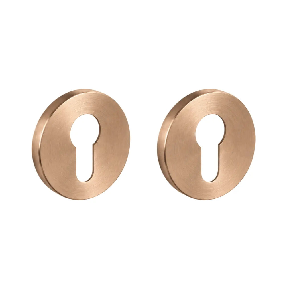 Set 2 rozete pentru ușă cu cilindru Viefe Brooklyn, alamă cava periată, Ø 55 mm
